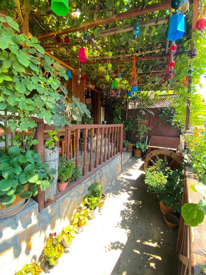 Avcioglu Konak Otel Safranbolu Luaran gambar